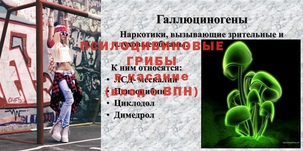 ГАЛЛЮЦИНОГЕННЫЕ ГРИБЫ Волоколамск