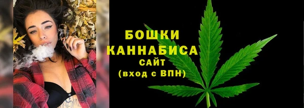 Альфа ПВП Володарск