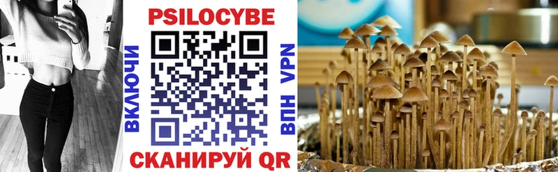 Галлюциногенные грибы мухоморы  Каневская 